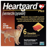 Heartgard Plus Chewables for Dogs 51-100 Lbs